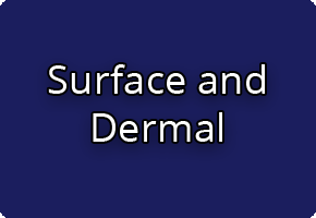 Picture for category Surface and Dermal