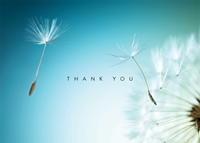 Picture of Thank you card - Cornea