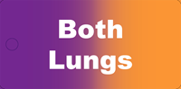 Picture of Both Lungs Tag