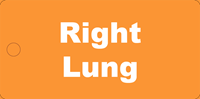 Picture of Right Lung Tag