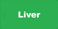 Picture of Liver Tag