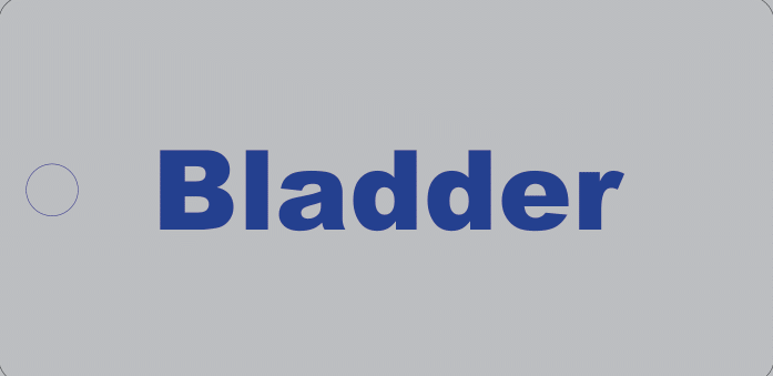 Picture of Bladder Tag