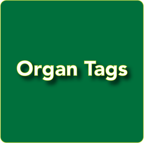 Picture for category Organ Tags