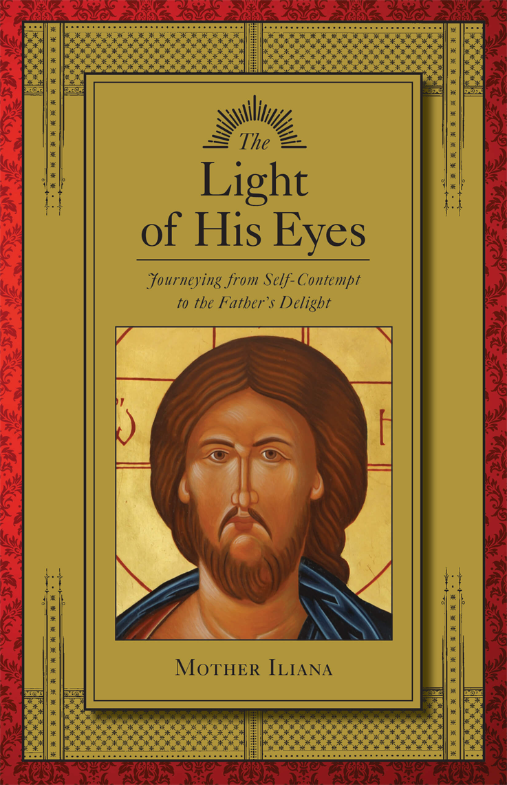 Picture of The Light of His Eyes