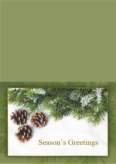 Picture of Holiday Card Pine Cones