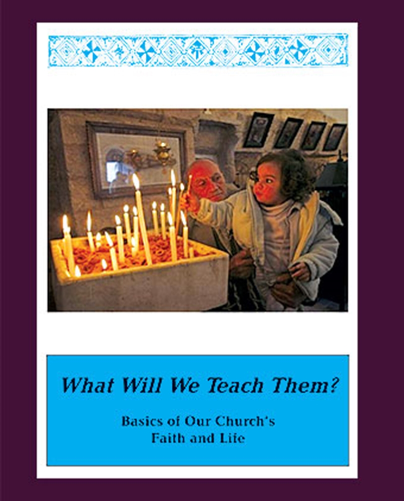 Show details for What Will We Teach Them?