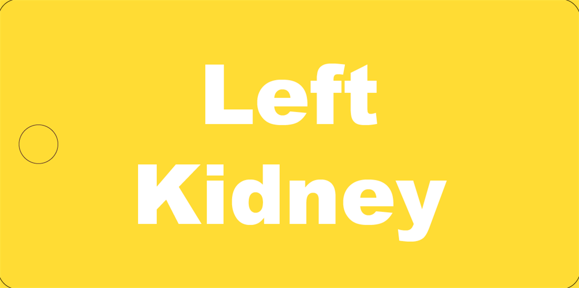 Picture of Left Kidney Tag