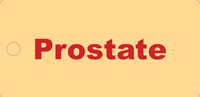 Picture of Prostate Tag