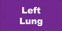 Picture of Left Lung Tag